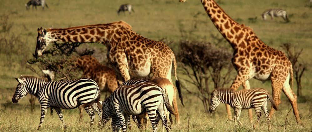 Mahali Mzuri Hotel Масай Мара Екстериор снимка